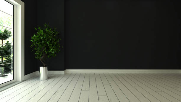 istock black wall empty room interior design with white wooden floor and plant  3D rendering 1214569413