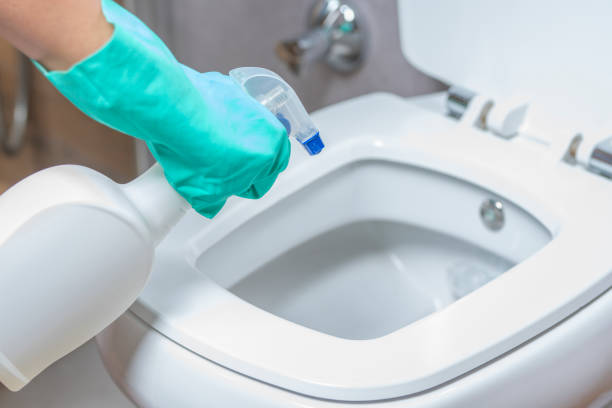 Cleaning Toilet Bowl stock photo