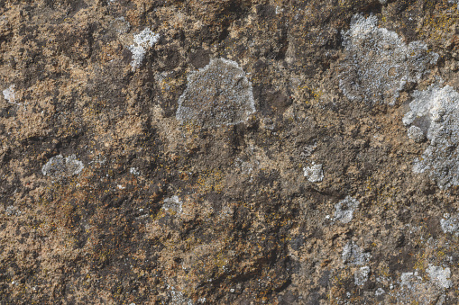 Horizontal photograhy of a beautiful weathered gray concrete texture, abstract backgrounds with blank copy space ready for design, taken in close-up full frame. Low contrast image, for inspiration, simplicity, tranquility and sparse concepts.