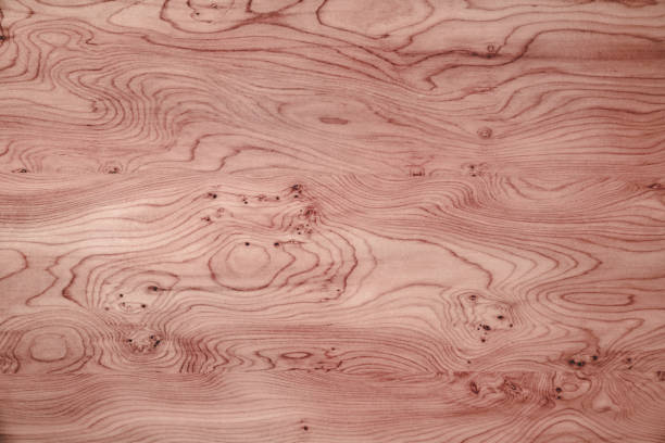 hermosa textura de grano de madera marrón en el fondo abstracto marco completo - brown curve knotted wood striped fotografías e imágenes de stock