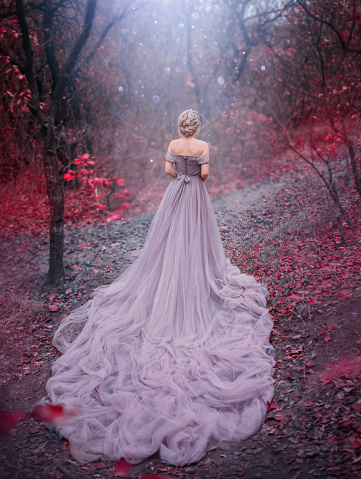Silhouette woman queen walk in Autumn forest magic trees red leaves. Elegant blonde princess. Royal Medieval clothes vintage evening purple dress long train bare back. backdrop blue shiny mystic fog