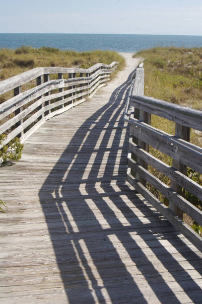 istock Heading To The Florida Beach 1214579773
