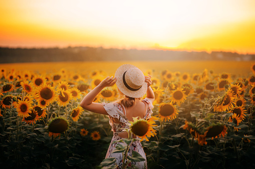 beautiful silhouette mysterious enjoy nature woman bright photo, summer field sunflowers yellow flowers. girl in light beige summer dress straw boater hat lady hot sun model back sunset country life
