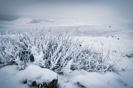 Siberian landscape by winter near Baikal lake, Russia