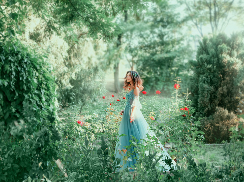 Вrunette girl wavy hair Hairstyle. green fairy forest. Medieval young beautiful woman Princess. blue vintage watercolor fluffy full dress, long train. Backdrop summer nature, garden trees red roses