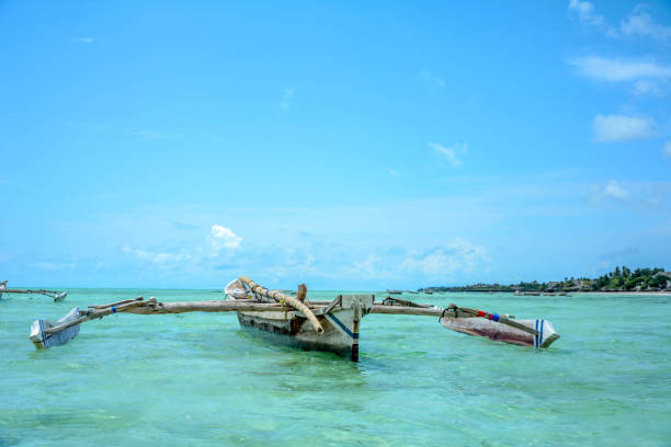 Coast of Zanzibar.
