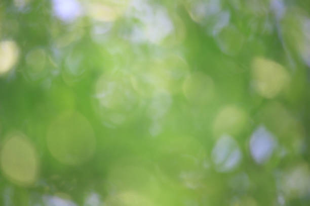 istock Bokeh green nature, Subtle background in abstract style 1214591846