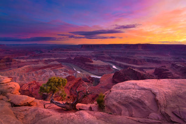 istock Dead Horse Point, Canyonlands 1214591865
