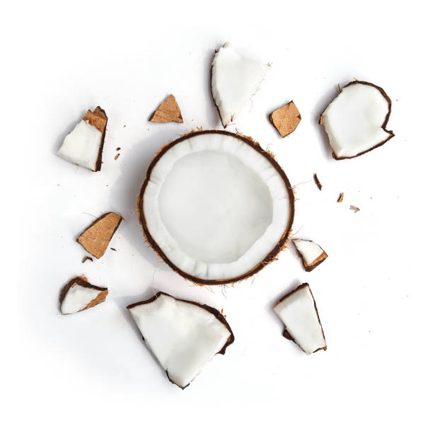 Whole coconut and pieces of coconut on white background stock photo