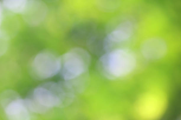 istock Bokeh green nature, Subtle background in abstract style 1214592761