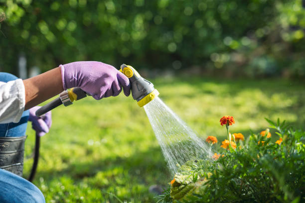 Unrecognisable Woman Watering Her Backyard The hand of a young woman watering her backyard with a hosepipe. garden hose photos stock pictures, royalty-free photos & images