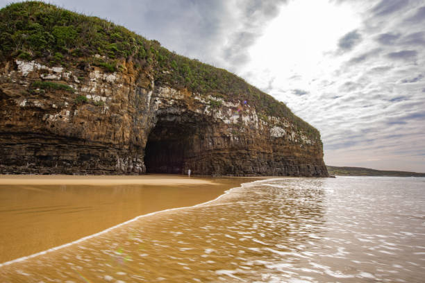 maestose grotte cattedrali, catlins, nuova zelanda - the catlins foto e immagini stock