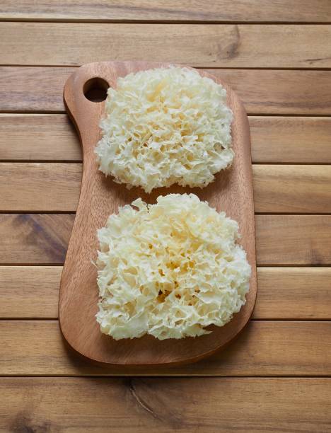 istock Asian food Dried tree ear mushroom, Macerate tree ear mushroom 1214595885