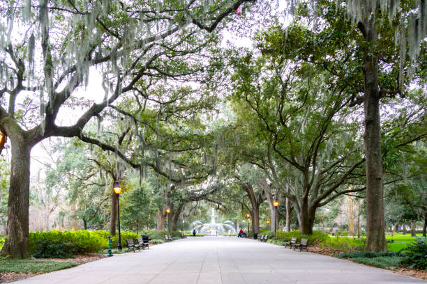 istock Forsyth Park in Savannah, Georgia, USA, 1214596055