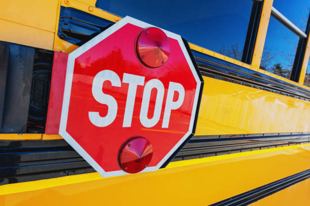 istock School Bus in Parking Lot 1214598345