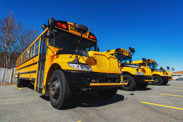 istock School Buses in Parking Lot 1214598349