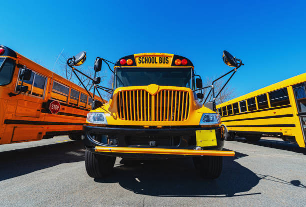 istock School Buses in Parking Lot 1214598351