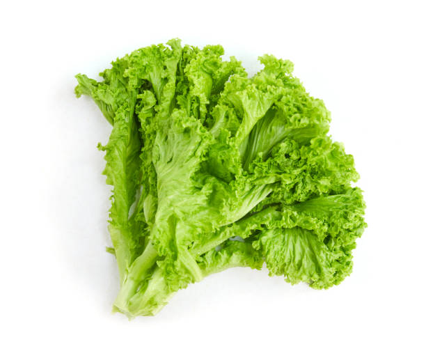 istock Fresh green lettuce leaves isolated on white 1214598420