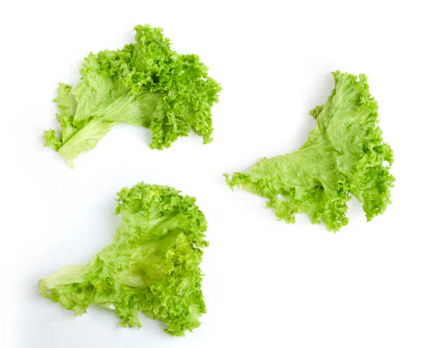istock Fresh green lettuce leaves isolated on white 1214599160