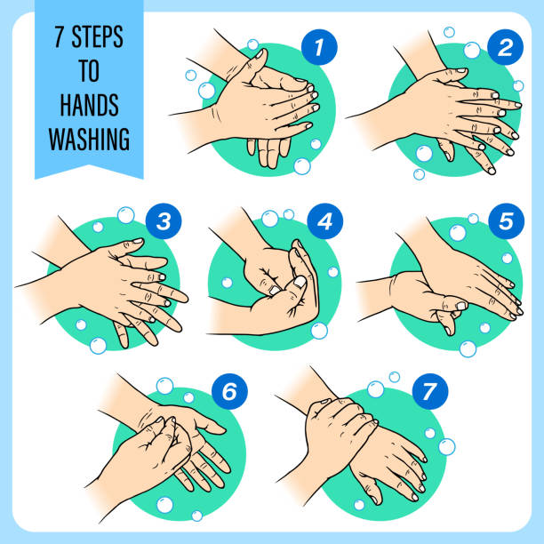 illustrazioni stock, clip art, cartoni animati e icone di tendenza di 7 passaggi per lavarsi le mani per una buona salute - fingernail human finger clean human thumb