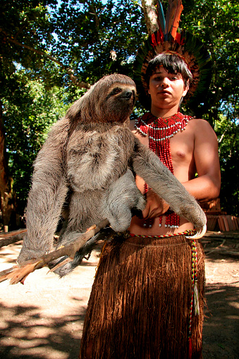 porto Seguro, bahia / brazil - april 14, 2009: sloth and its baby are seen with pataxo indian village Jaqueira in the city of Porto Seguro.\