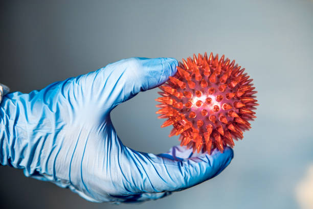istock Doctor in laboratory holding a Coronavirus red model diseases. Molecule COVID19 1214604533