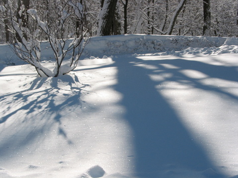 Early morning shadows on a snowy driveway in Tuxedo Park, New York