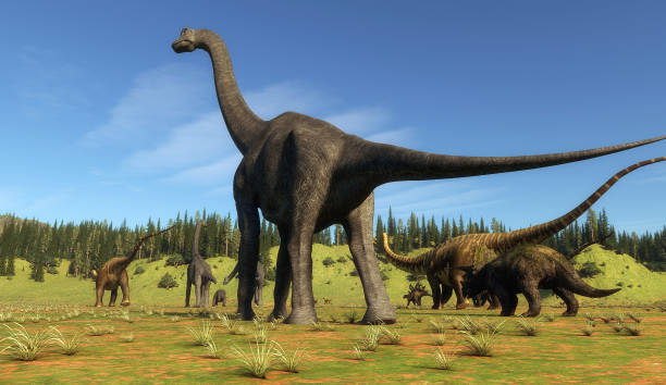 istock Dinosaurs on the valley . This is a 3d render illustration . 1214625152