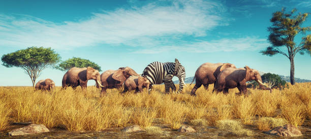 Elephant with a zebra skin into a crowd . Think outside the box concept . This is a 3d render illustration