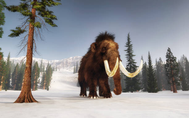 istock Mammoth walking on snow covered hills. Mountain environment . This is a 3d render illustration. 1214625185