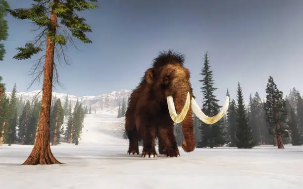 Photo of Mammoth walking on snow covered hills. Mountain environment . This is a 3d render illustration.