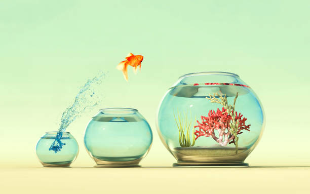 istock Golden fish jump over a fishbowl to another . This is a 3d render illustration . 1214625195