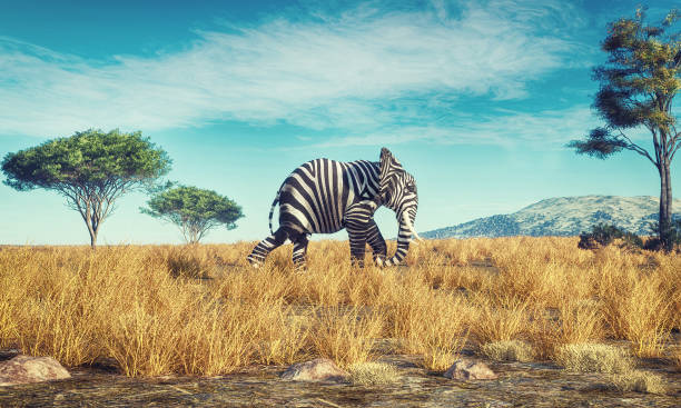 elefant mit zebrahaut zu fuß in der savanne. dies ist eine 3d-render-illustration - animal skin stock-fotos und bilder