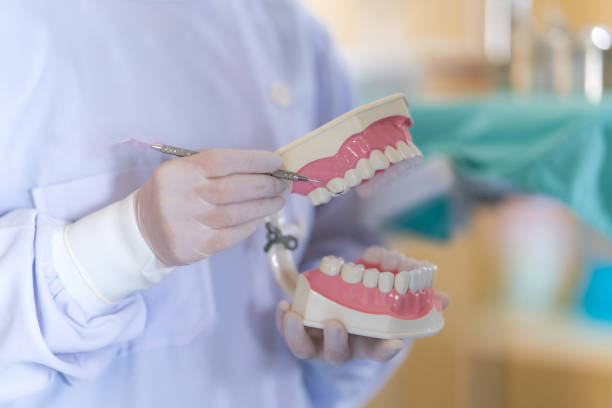 istock Female dentist standing in dentist office using a jaws model 1214627105