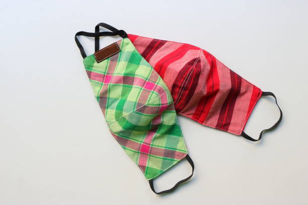 istock Two washable plaid cloth face mask 1214627204