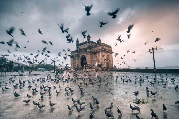 istock Gateway Of India Mumbai 1214631147