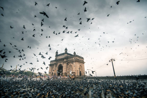 istock Gateway Of India Mumbai 1214631165