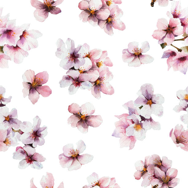 istock Watercolor cherry blossom. Seasonal spring illustration. Seamless pattern on white background. 1214633552