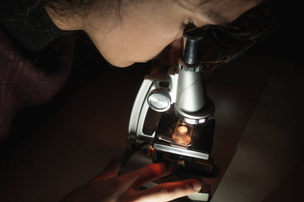 Young science student looking through his microscope stock photo