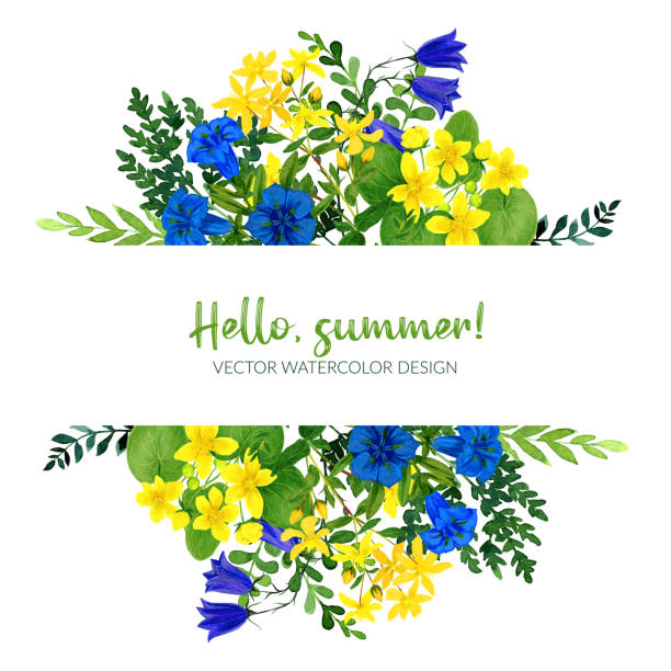 Wild flowers banner with field flowers, yellow and blue Wild flowers banner with field flowers, yellow and blue, hand drawn watercolor illustration blue gentian stock illustrations