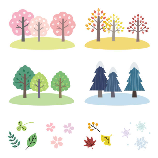 illustrazioni stock, clip art, cartoni animati e icone di tendenza di set di quattro stagioni albero - four seasons symbol season spring