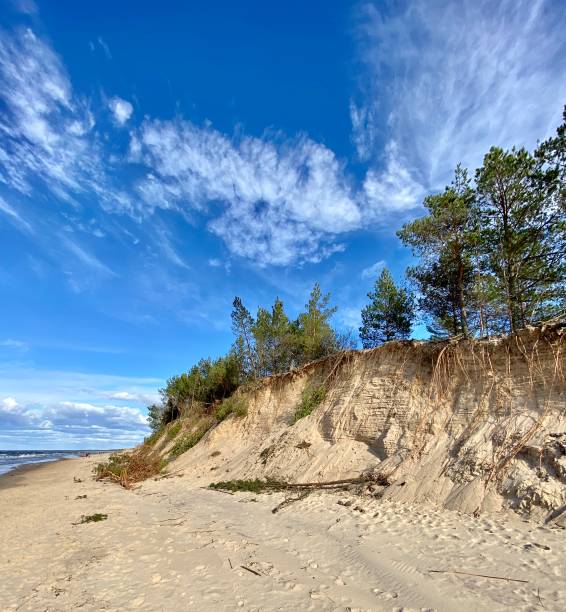 istock Baltic Sea spring coast  sea  beach Lilaste Latvia 1214638475