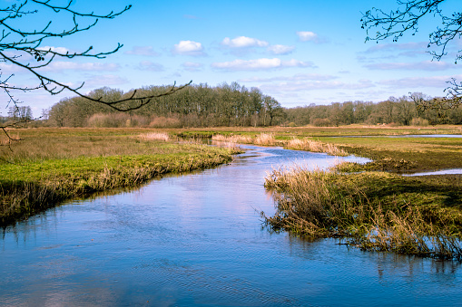 The river Drentse AA in early spring, which winds through the beautiful landscape in the Drenthe national stream and esdorp landscape
