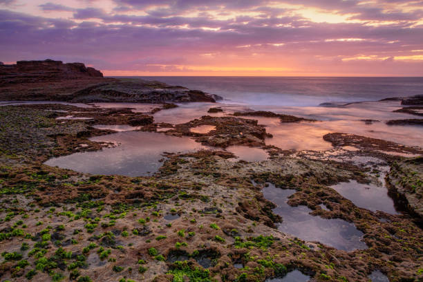 istock Beautiful sunrise over tidal rocks exposed in low tide 1214640894