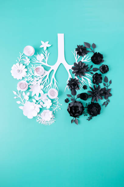 istock one affected lung and one healthy one 1214645183
