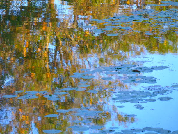 istock Reflections on a channel, near Briare 1214651045