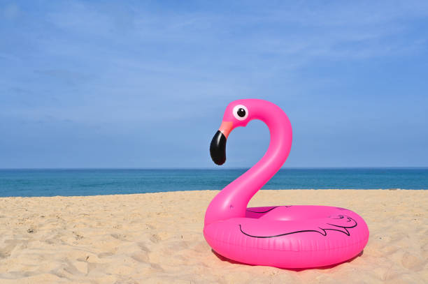 forme de flamant, anneau flottant en caoutchouc par la plage - plastic flamingo photos et images de collection