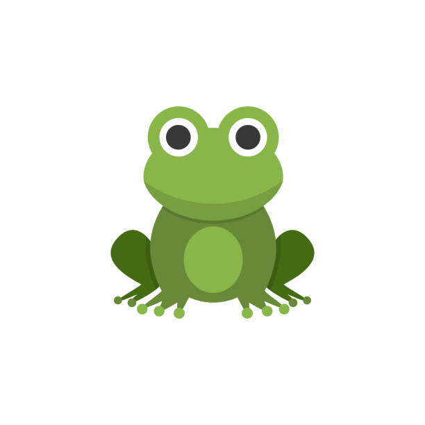 frosch. flaches farbsymbol. tiervektor-illustration - frosch stock-grafiken, -clipart, -cartoons und -symbole