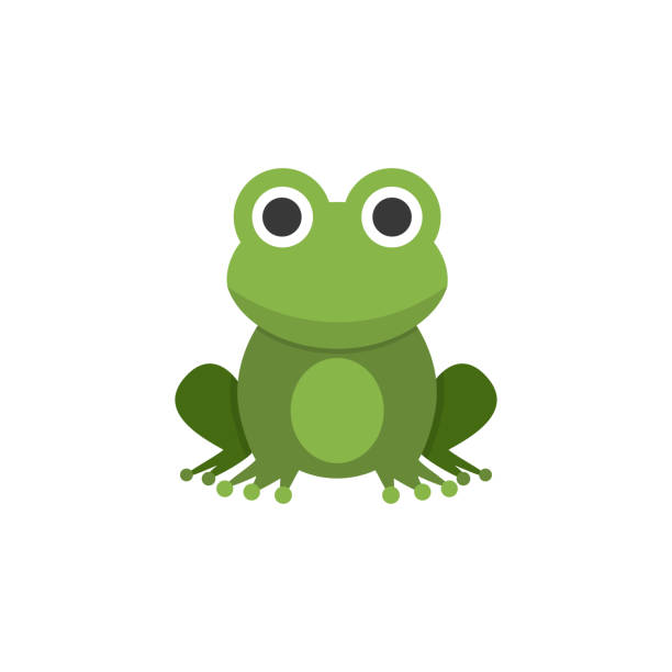 Frog. Flat color icon. Animal vector illustration Frog. Flat color icon. Isolated animal vector illustration frog illustrations stock illustrations