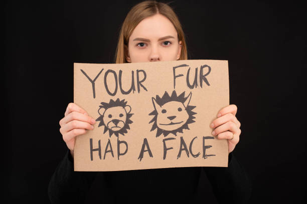 woman with obscure face holding cardboard sign with your fur had a face inscription isolated on black woman with obscure face holding cardboard sign with your fur had a face inscription isolated on black fur protest stock pictures, royalty-free photos & images